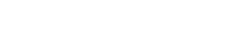Biondi s.r.l.s. Logo